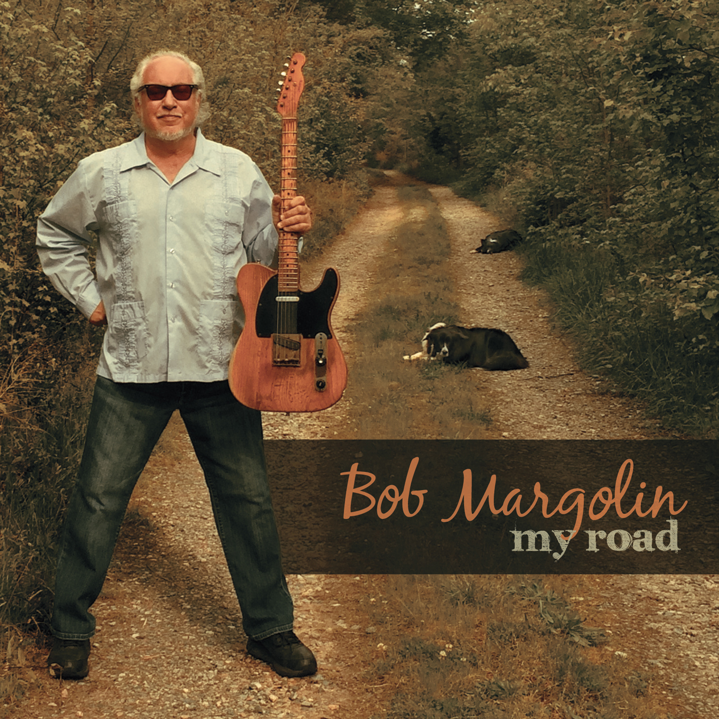 Image result for bob margolin band